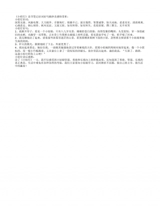 《小桔灯》读书笔记好词好句摘抄及感悟赏析.txt