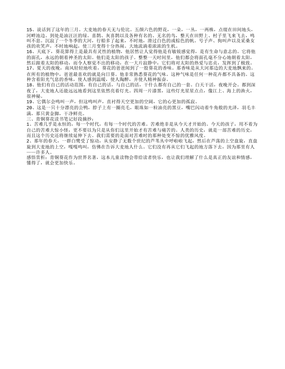 青铜葵花读书笔记摘抄好词好句及感悟赏析.txt_第2页